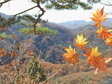 河北郵幣市場(chǎng)最新動(dòng)態(tài)分析